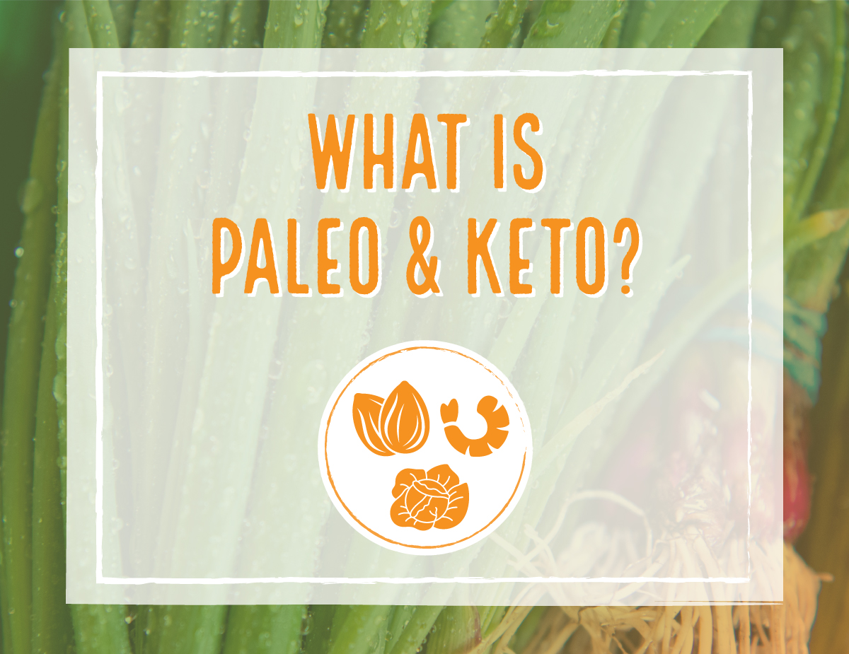 Paleo Keto Graphic