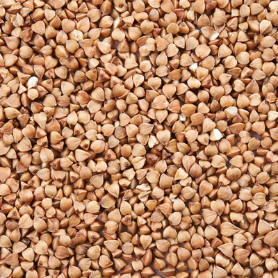 Buckwheat