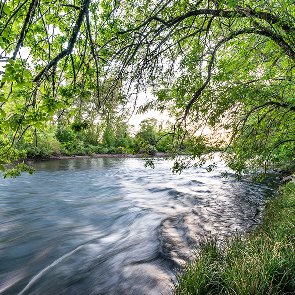 McKenzie River Trust